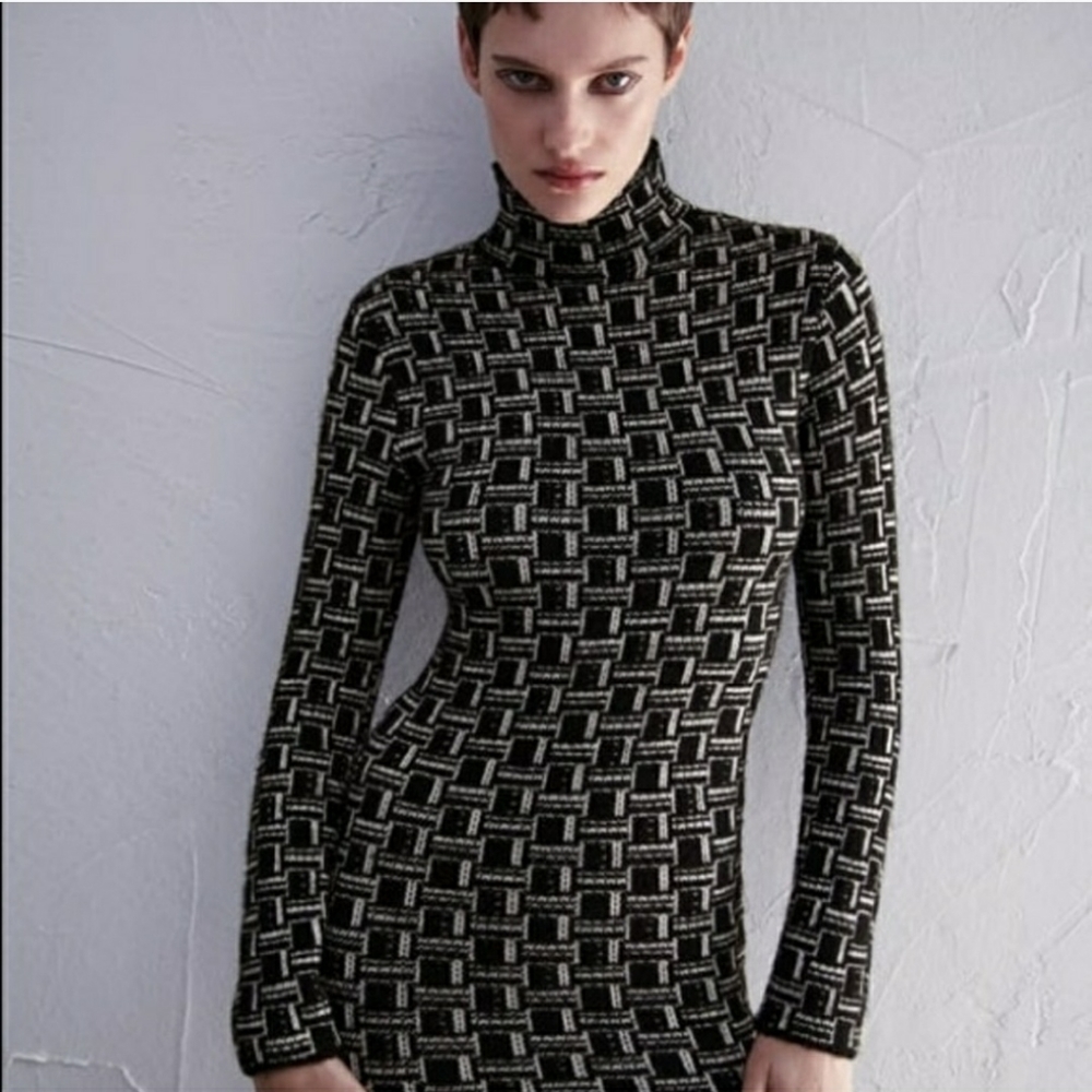 Zara Jacquard Long Sleeve Dress (S)